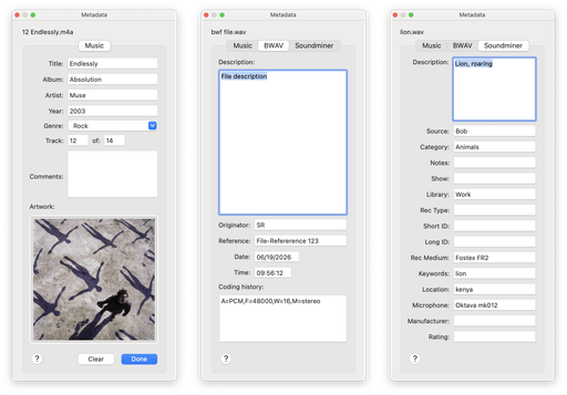 Metadata editor